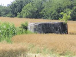 Ligne Maginot - B653 - L'ESCRIERE (Blockhaus pour arme infanterie) - Blockhaus situé dans un champ cultivé à proximité du ruisseau 'L'Escrière'.