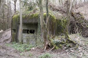 Ligne Maginot - B731 - TRIEUX D'ANICOLE - (Blockhaus pour canon) - 