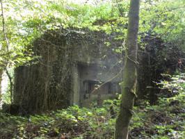 Ligne Maginot - B747 - LE CHAMPIAU - (Blockhaus pour canon) - 