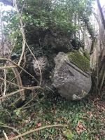 Ligne Maginot - SURYSCHER - (Blockhaus pour arme infanterie) - Les ruines