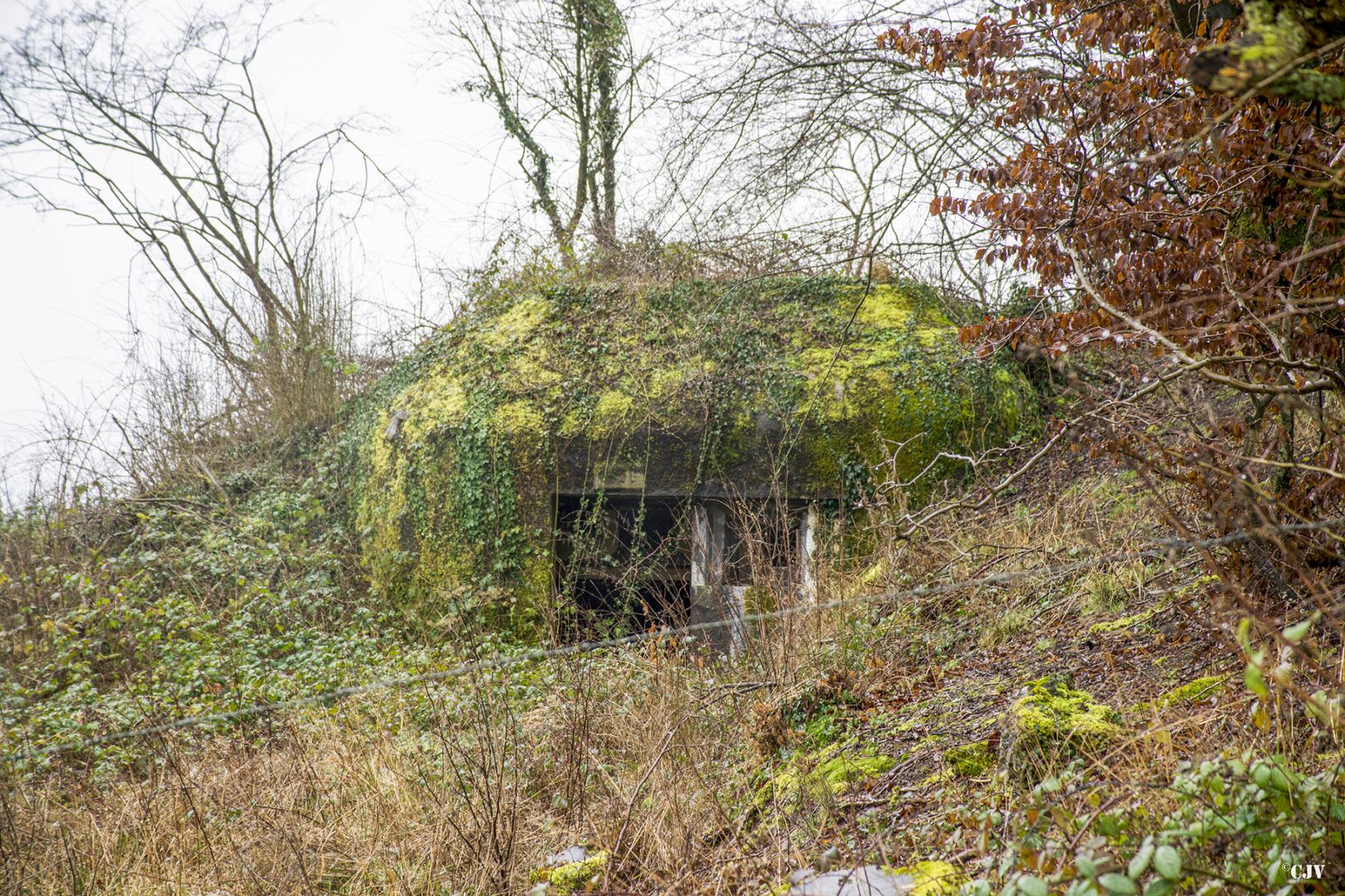 Ligne Maginot - A100 - BOIS DES NIELLES - (Blockhaus pour canon) - 