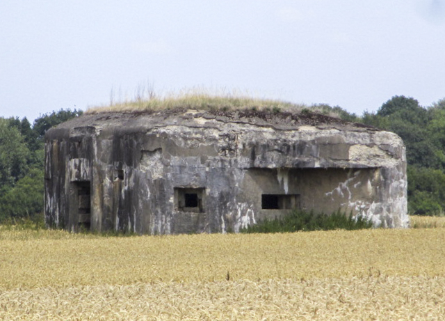 Ligne Maginot - BOIS MONSIEUR NORD - (Blockhaus pour canon) - Vue prise depuis la Route de Colleret.