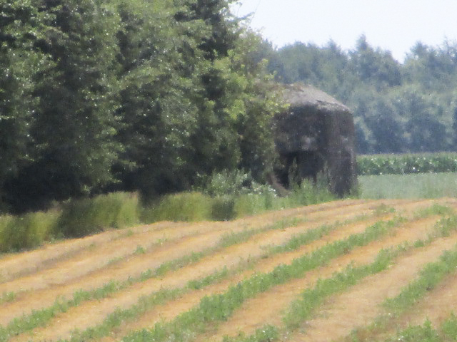 Ligne Maginot - Blockhaus B696 - CIMETIERE d'AIBES - Blockhaus situé en limite d'un champ cultivé.
Vue prise depuis la rue du Cimetière.