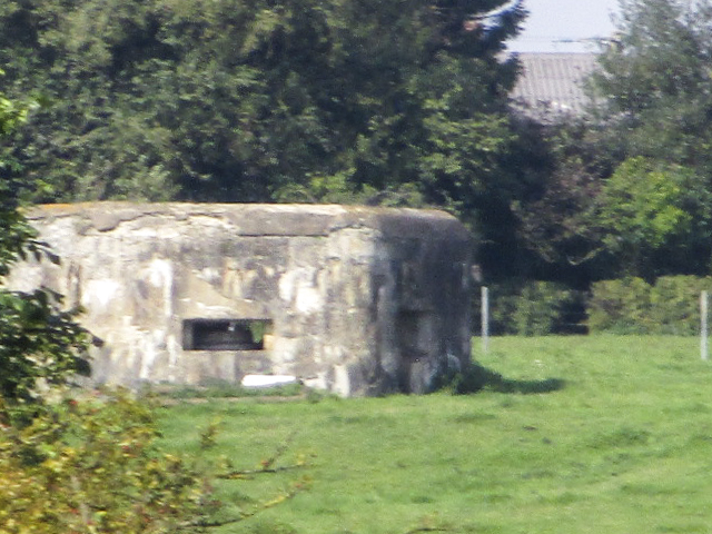 Ligne Maginot - B712 - Le TRIANON (Blockhaus pour arme infanterie) - Blockhaus situé dans un pré clôturé en bordure de la Route d'Avesnes D 962