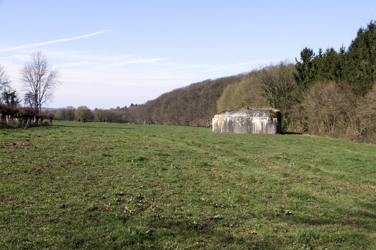 Ligne Maginot - B732 - GARDE DE WILLIES - (Blockhaus pour canon) - 