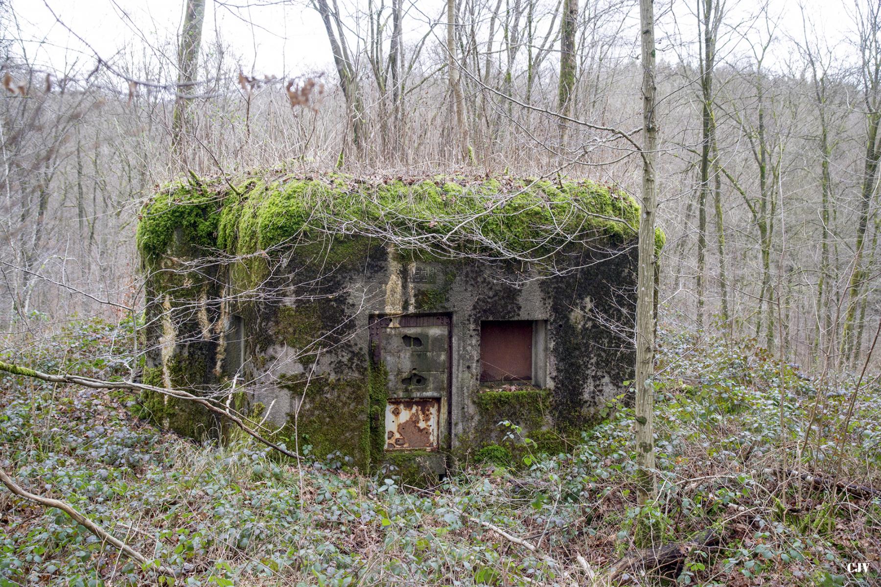 Ligne Maginot - B750 - SAINTE HILTRUDE - (Blockhaus pour canon) - 