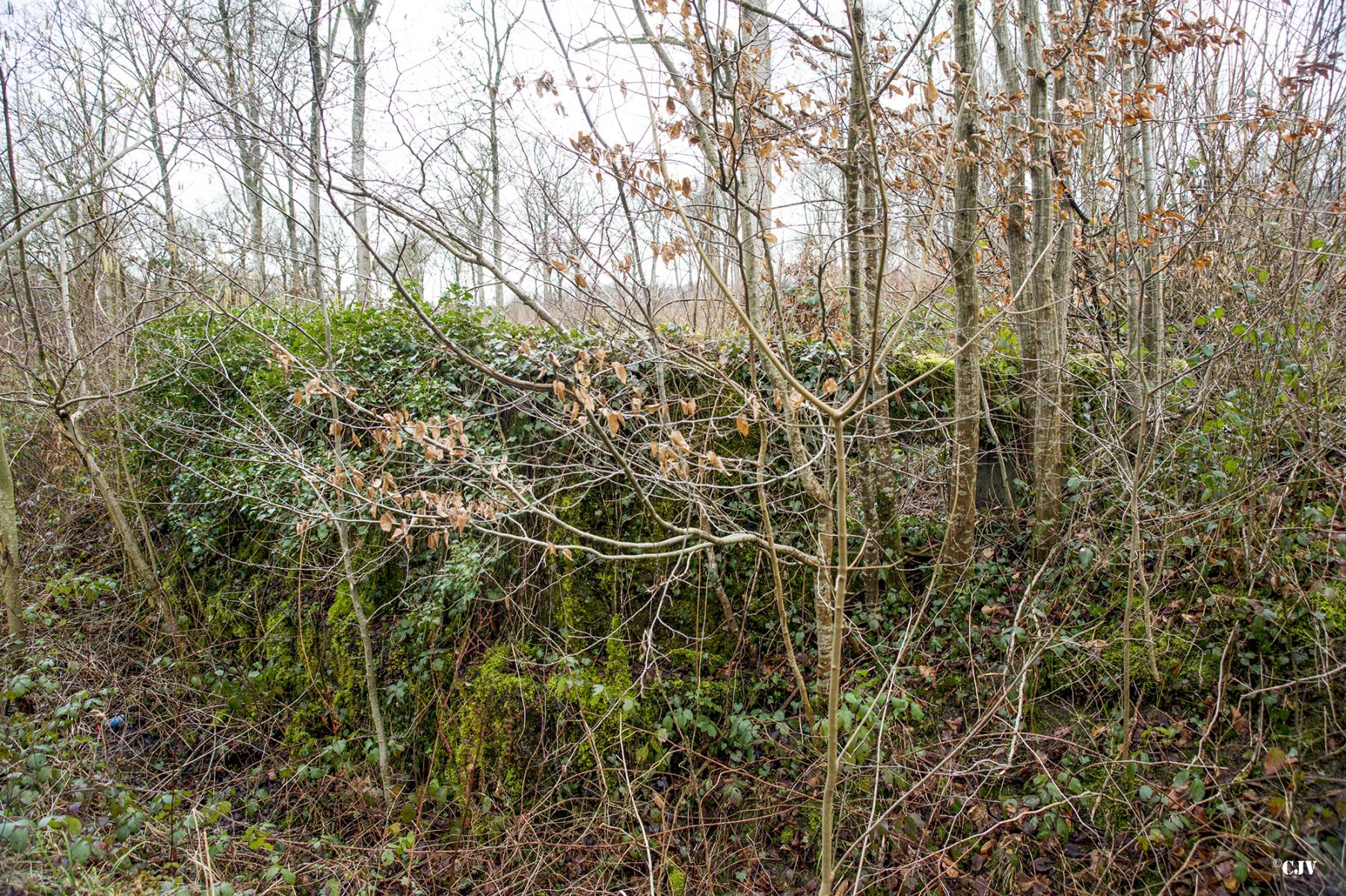 Ligne Maginot - B753 - LA SABLONNIERE - (Cuve pour arme d'infanterie) - Le bouclier est envahi par la végétation, on voit le créneau presque pas.