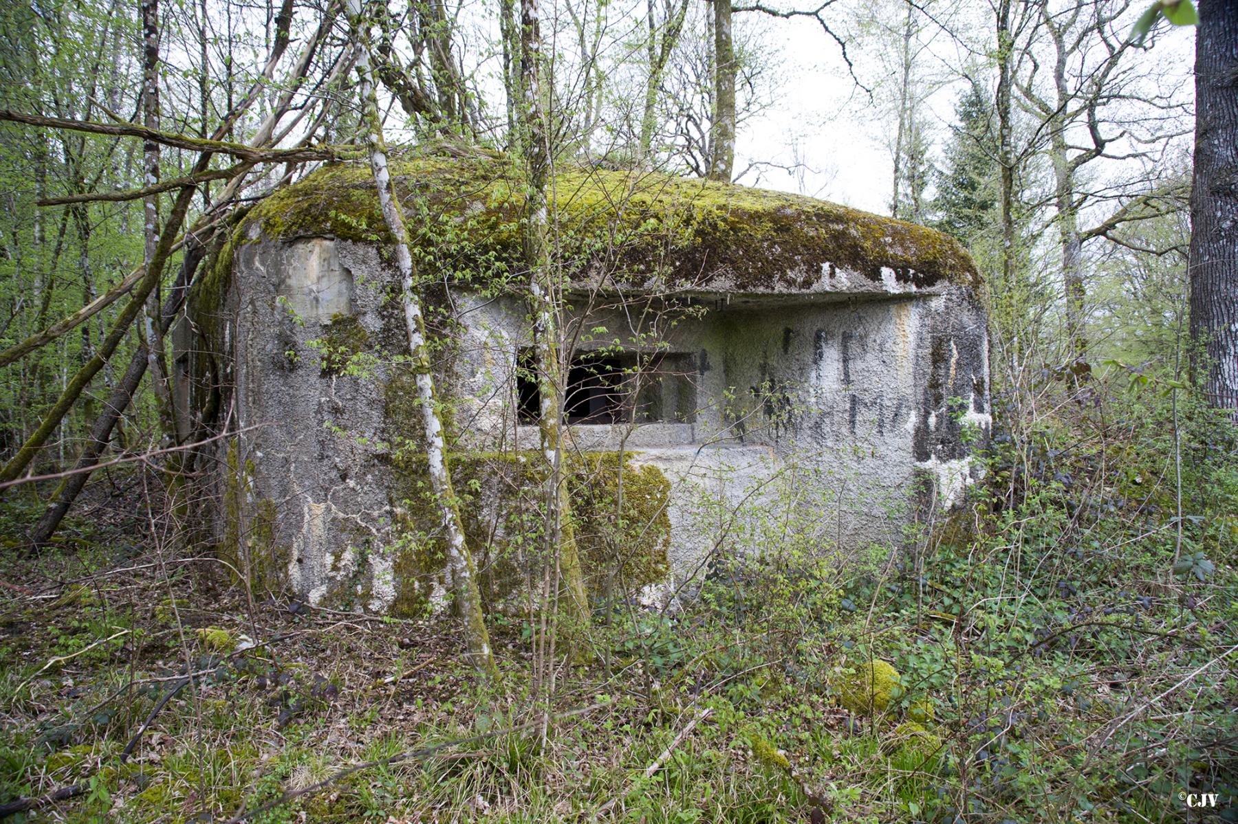 Ligne Maginot - B757 - FOND SAINT JEAN - (Blockhaus pour canon) - 
