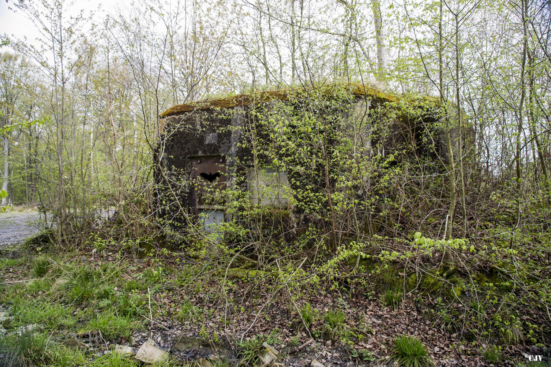 Ligne Maginot - B759 - CARREFOUR HOLSTEIN - (Blockhaus pour canon) - 