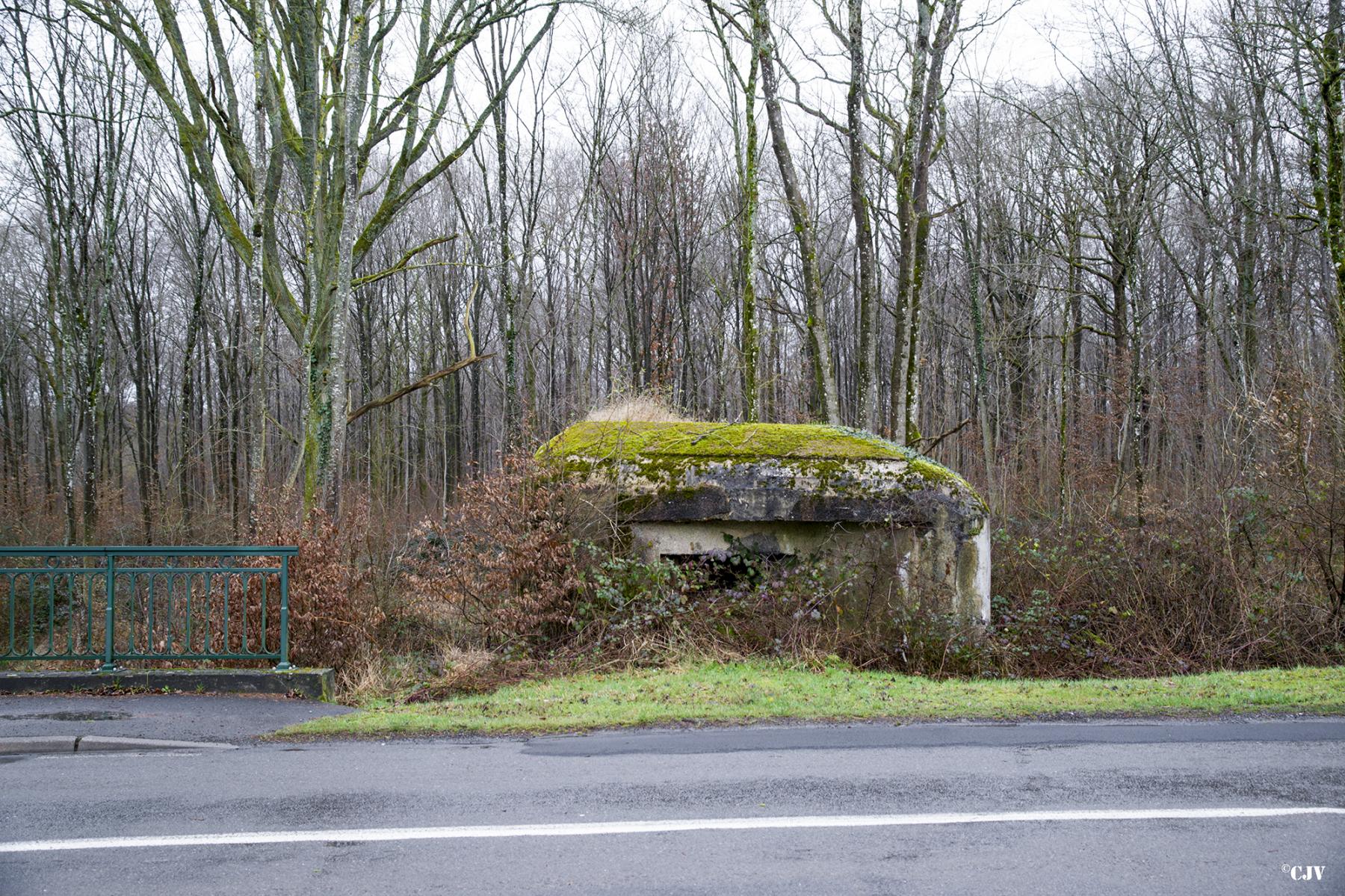 Ligne Maginot - B764 - LE FOURNEAU - (Blockhaus pour canon) - 