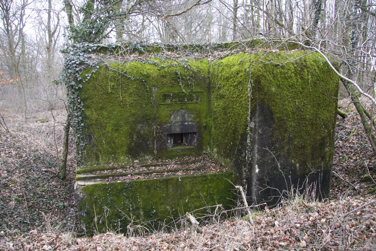 Ligne Maginot - STUDEN - SUZANNE - (Blockhaus pour arme infanterie) - 
