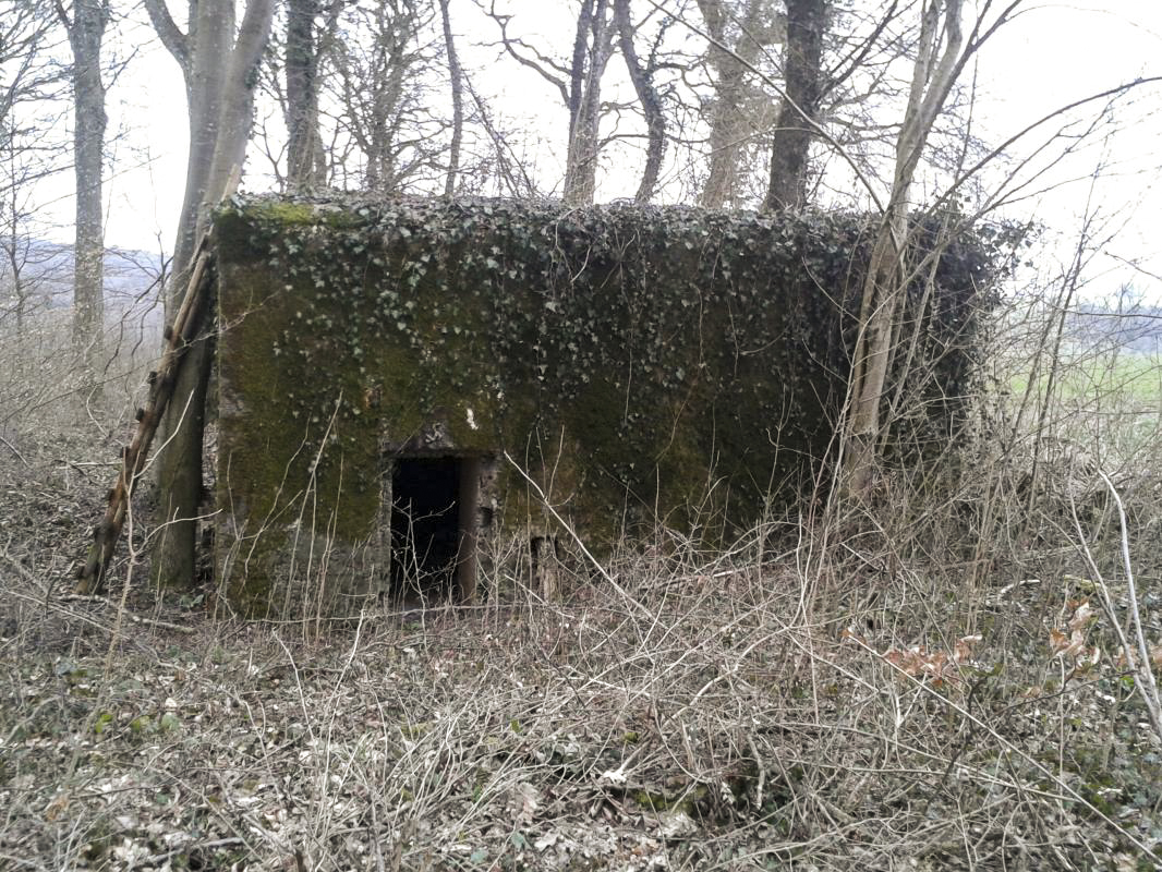 Ligne Maginot - DB230 - PINAUSET - (Blockhaus pour canon) - L'ouvrage vu de côté.Une échelle en bois posée contre son mur permet d'accéder au 'toit' d'où des chasseurs sont à l'affût du gibier