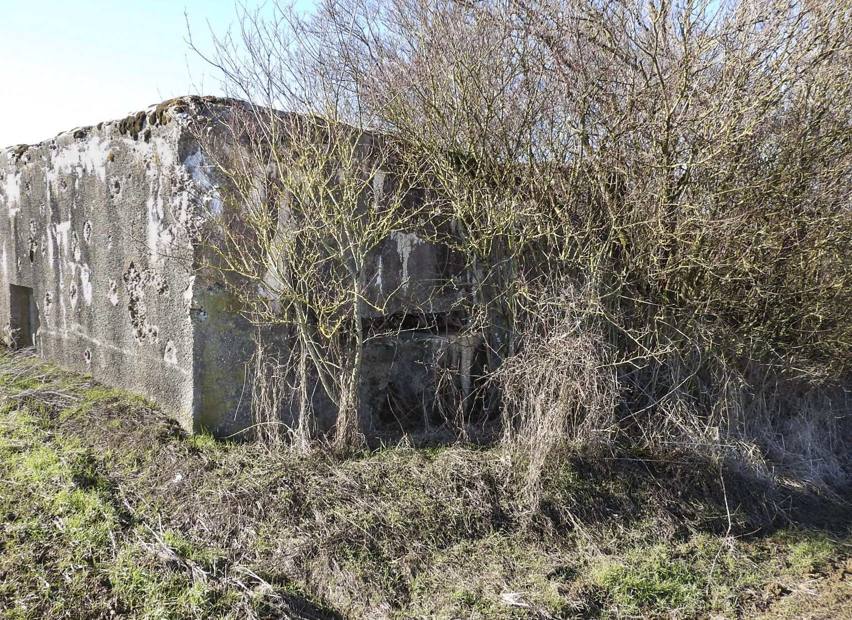 Ligne Maginot - EPERON - (Blockhaus pour canon) - La façade de tir du blockhaus