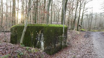 Ligne Maginot - HUEHNERBERG 4 - (Blockhaus pour arme infanterie) - 