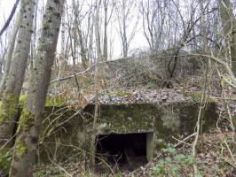 Ligne Maginot - 48BIS - BUTTE DE FRENOIS EST - (Blockhaus pour canon) - L'arrière avec l'entrée. Noter que la face frontale est maintenant enterré.