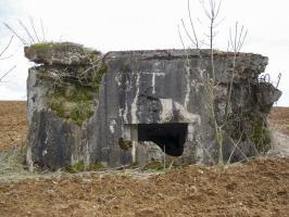 Ligne Maginot - 221 - LA VASALLEE SUD - (Blockhaus pour canon) - 
