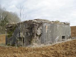 Ligne Maginot - 221 - LA VASALLEE SUD - (Blockhaus pour canon) - 