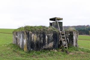 Ligne Maginot - TIERGARTEN 5 - (Blockhaus pour arme infanterie) - Vue générale