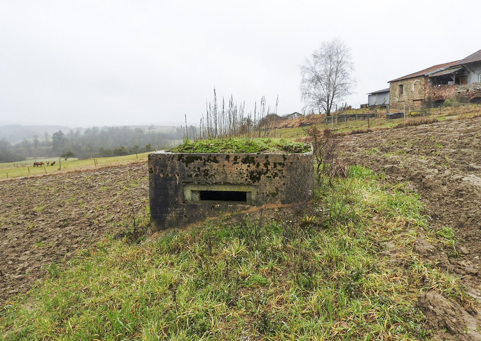 Ligne Maginot - KAJEL - (Blockhaus pour arme infanterie) - Le façade de tir vers le Nord-Est.