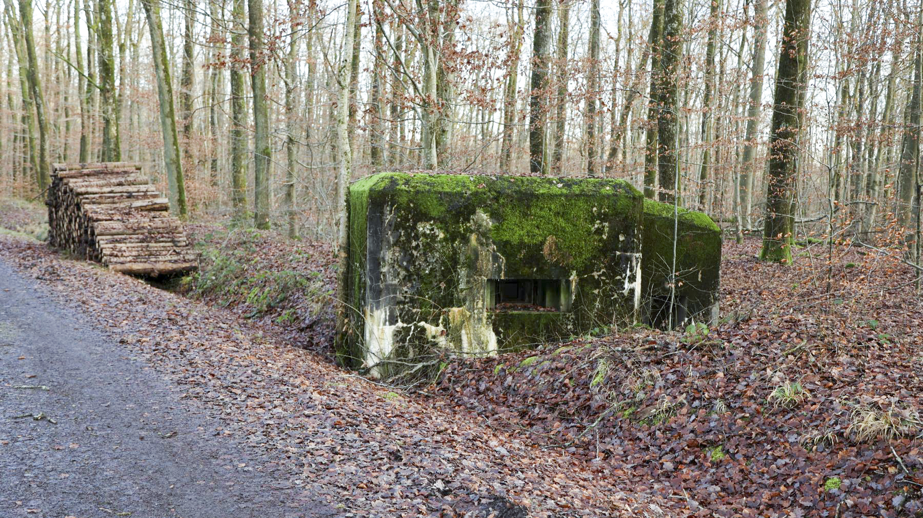 Ligne Maginot - HUEHNERBERG 4 - (Blockhaus pour arme infanterie) - 
