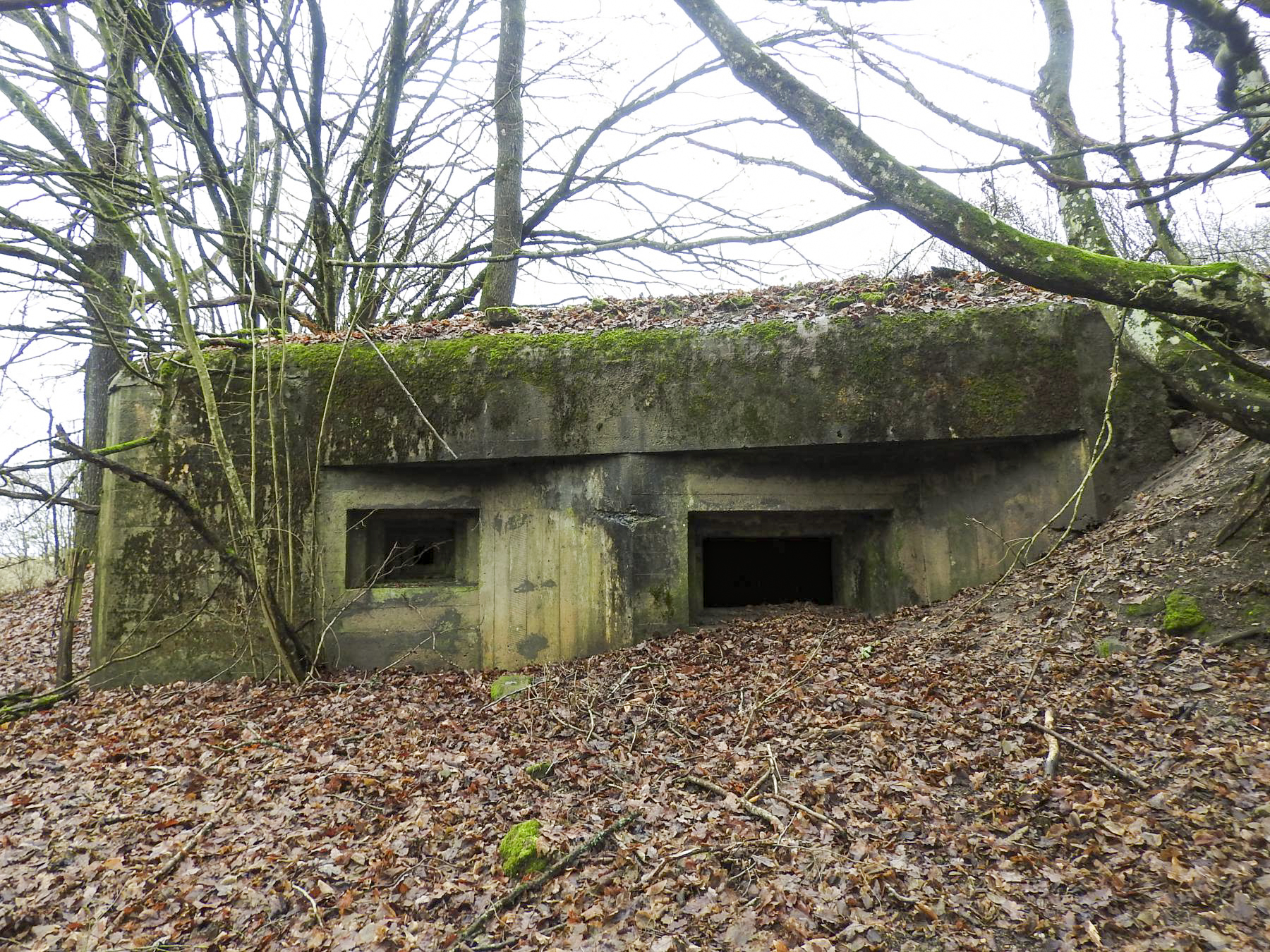 Ligne Maginot - MITTELSMUEHLE - (Blockhaus pour canon) - Les créneaux FM et canon antichar de flanquement NE.