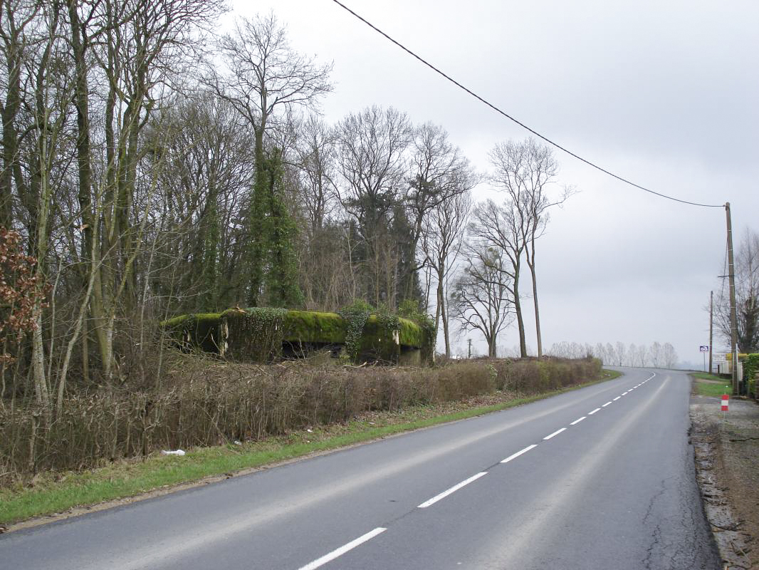 Ligne Maginot - 103 - CHATEAU BELLEVUE - (Blockhaus lourd type STG / STG-FCR - Double) - La route vers château Bellevue