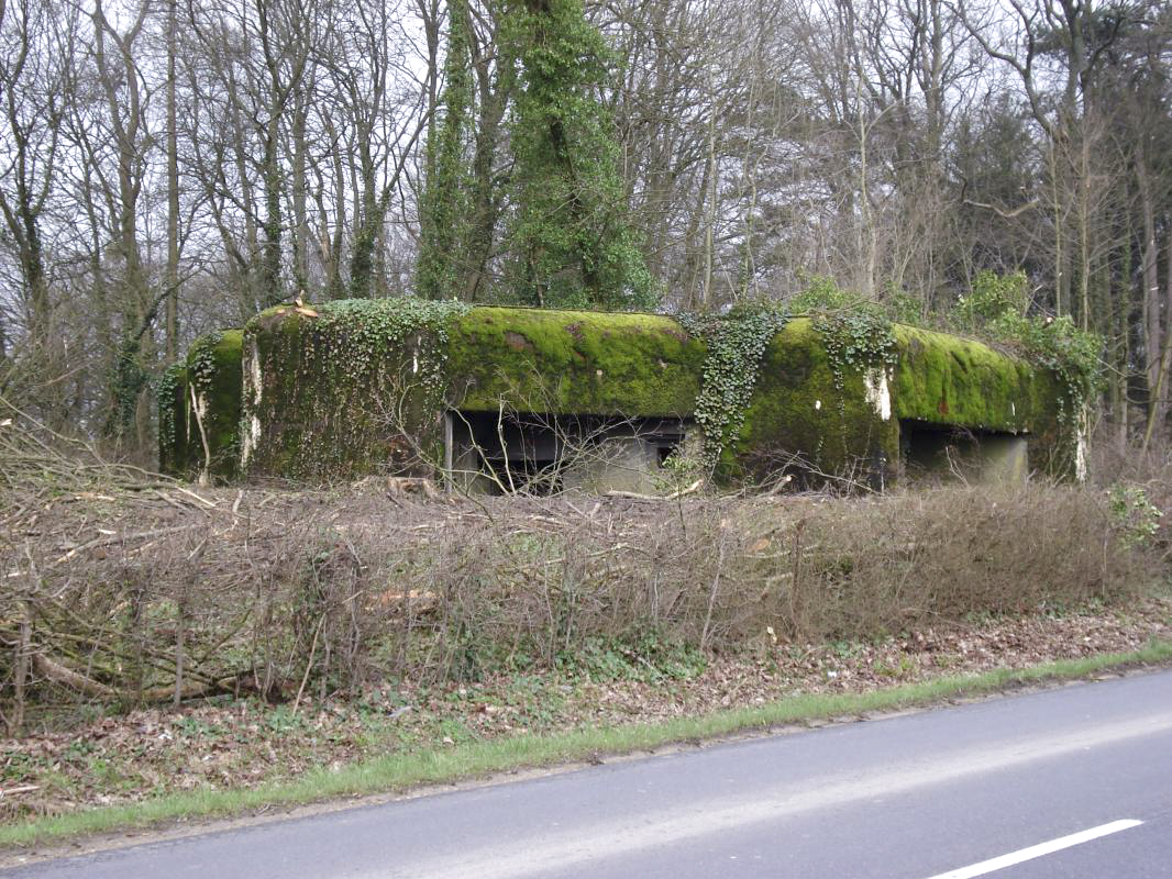 Ligne Maginot - 103 - CHATEAU BELLEVUE - (Blockhaus lourd type STG / STG-FCR - Double) - 