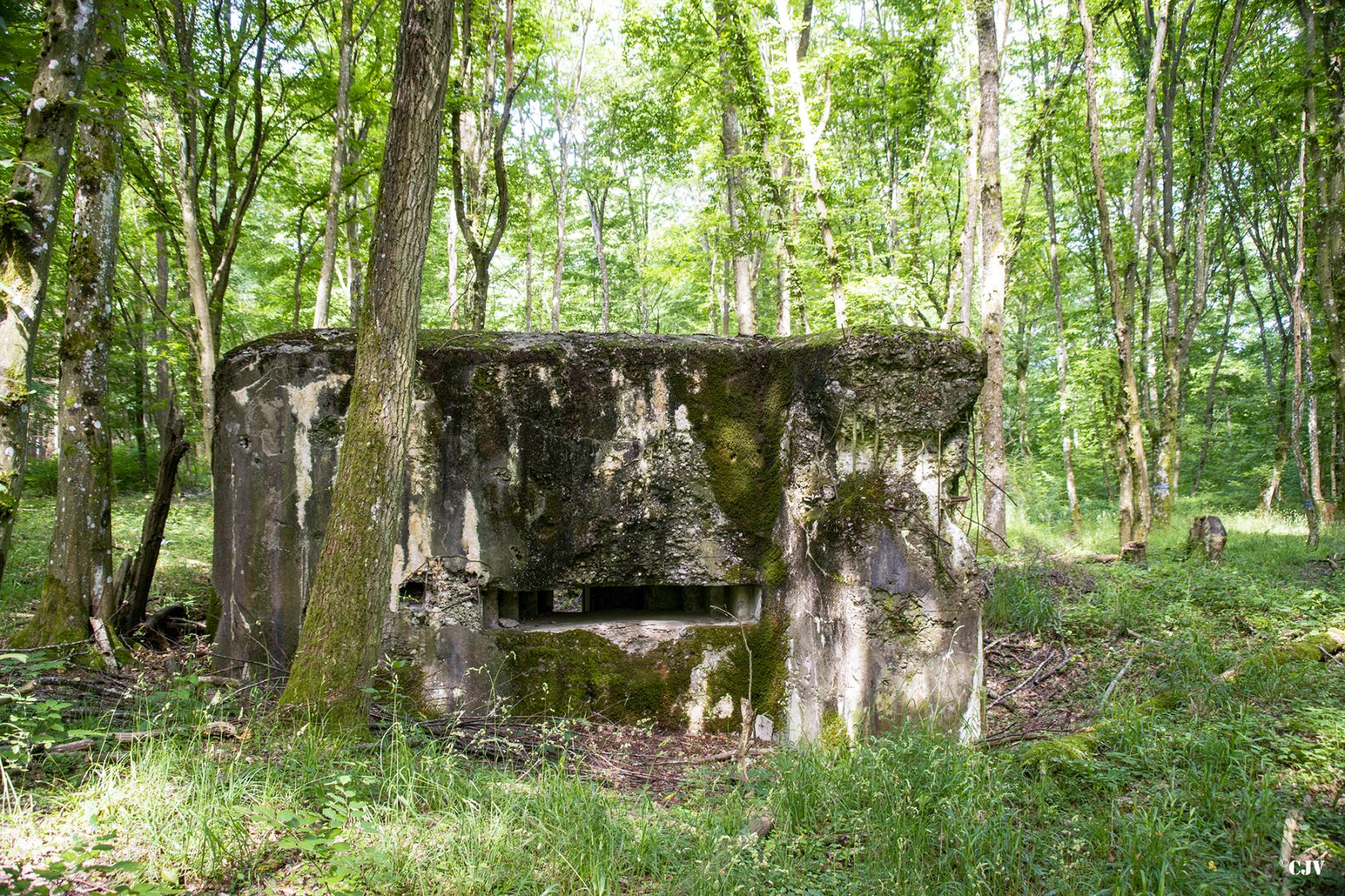 Ligne Maginot - LANGSTWALD 5 - (Blockhaus pour canon) - 