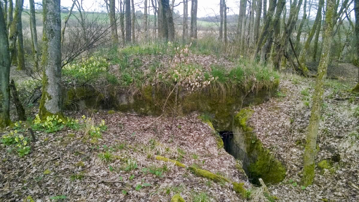 Ligne Maginot - LANGSTWALD 6 - (Blockhaus pour arme infanterie) - Cote Sud ...entree