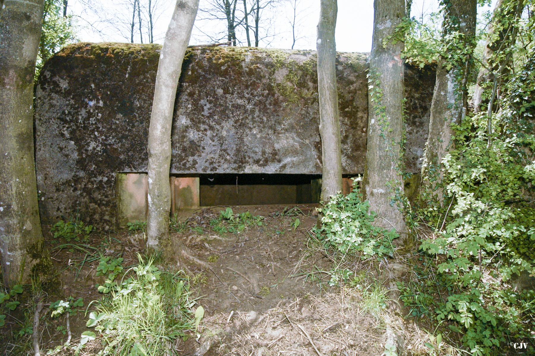 Ligne Maginot - BB118 - LES NOYERS - (Observatoire d'infanterie) - 