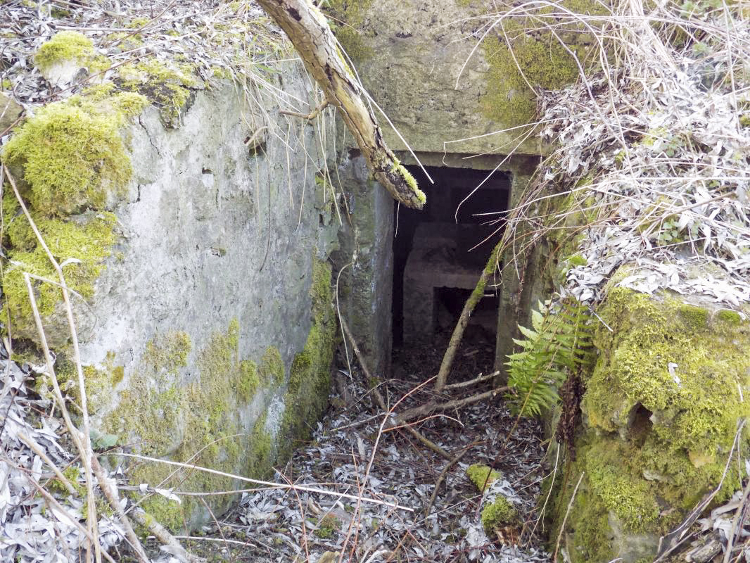 Ligne Maginot - 14 - PRE AUX PIERRES NORD - (Blockhaus pour arme infanterie) - L'entrée