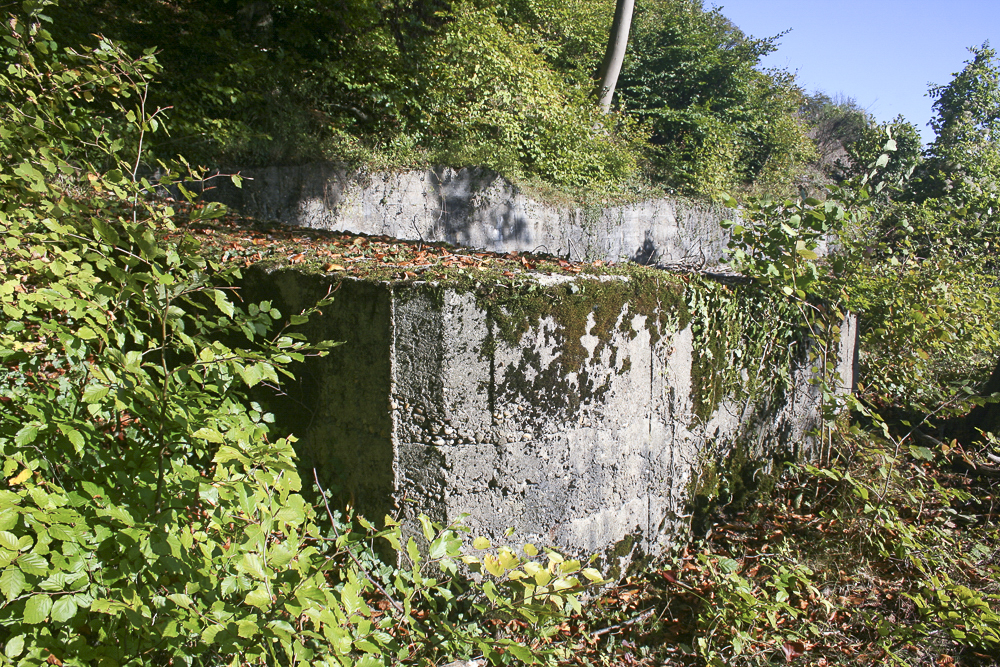 Ligne Maginot - BOIS DE LA COTE (169° RIF) - (PC de Sous-Secteur) - Abri bétonné inachevé