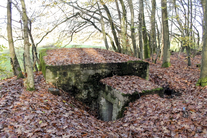 Ligne Maginot - PFAFFENBUSCH 2 - (Observatoire d'infanterie) - 