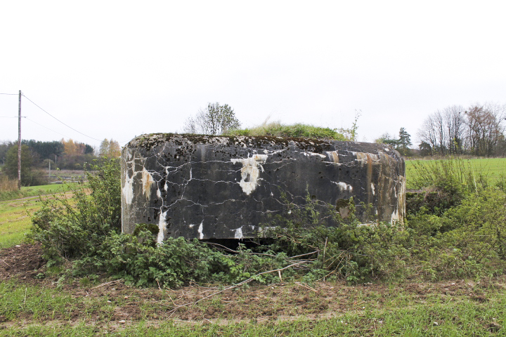Ligne Maginot - TIERGARTEN 6 - (Blockhaus pour arme infanterie) - Façade de tir