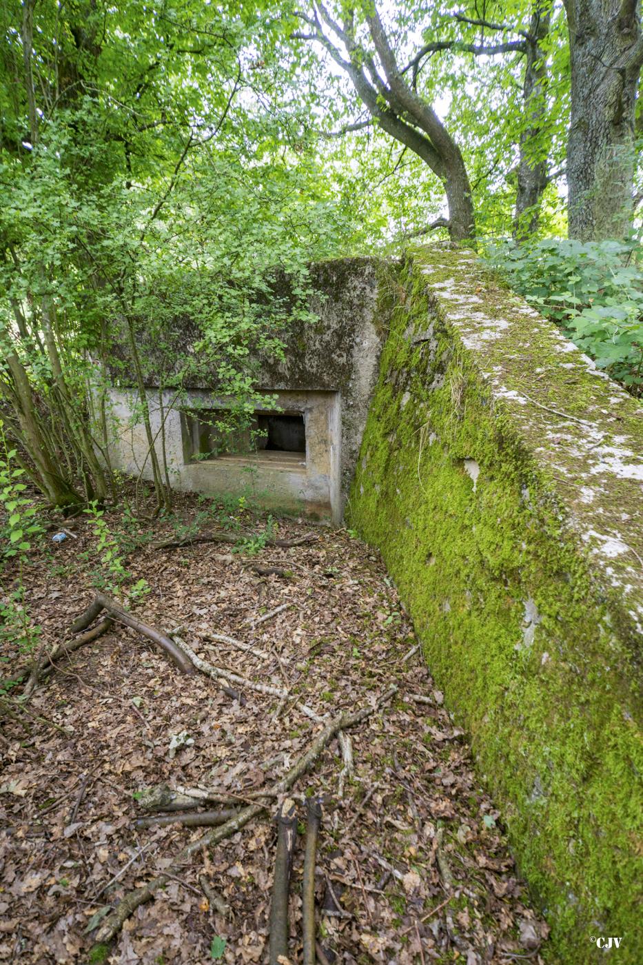 Ligne Maginot - C9 - DIGUE DE RICHELING 4 - (Blockhaus pour canon) - 