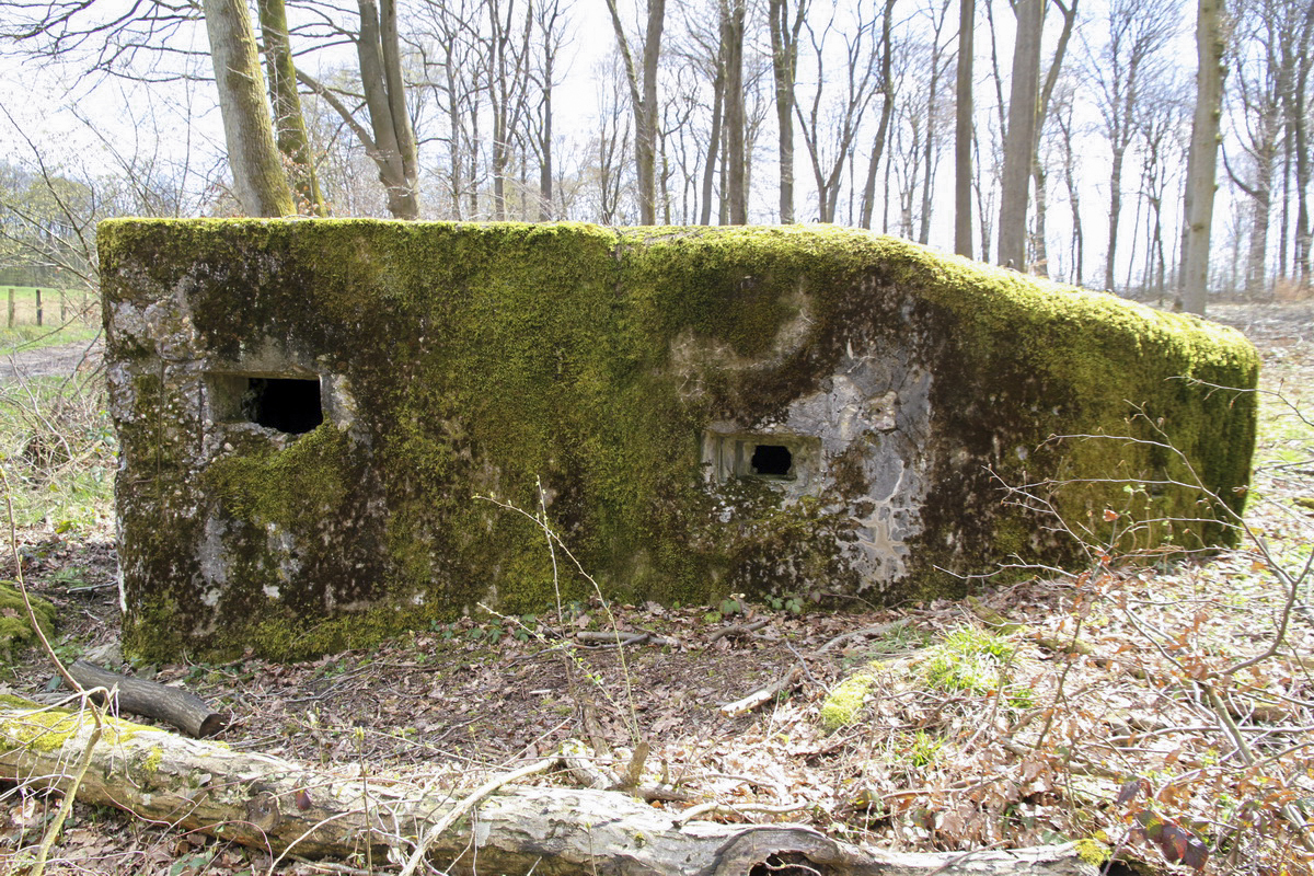 Ligne Maginot - F2B - GRUNDVILLER 5 - (Blockhaus pour arme infanterie) - 