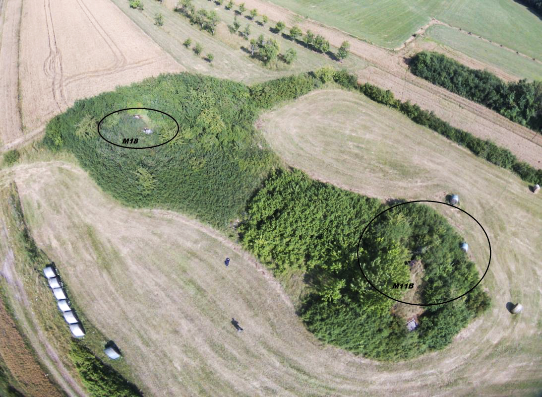 Ligne Maginot - M11B - HOLVING CENTRE 8 - (Blockhaus pour canon) - Photo prise par drone