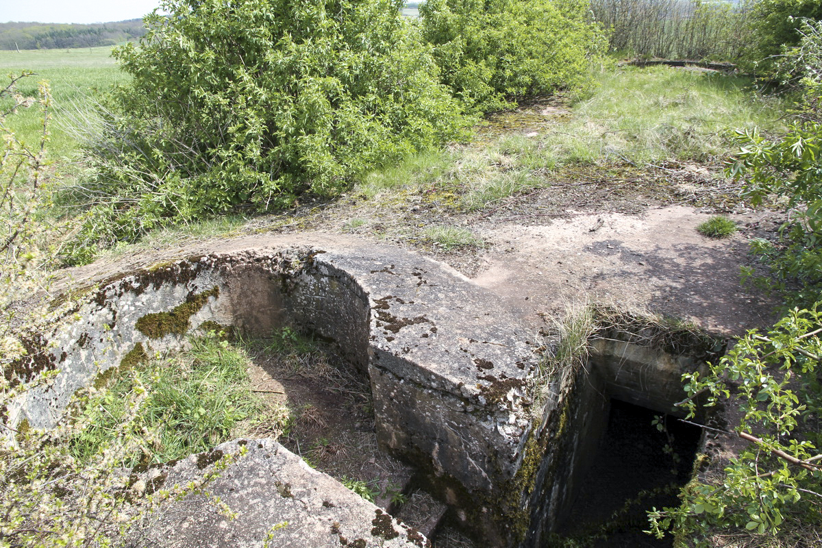 Ligne Maginot - M118T - HOLVING Sud 1 (Blockhaus pour arme infanterie) - 