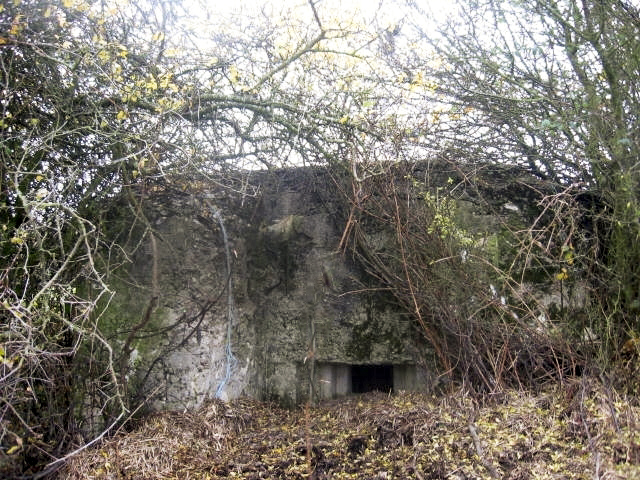 Ligne Maginot - MAYERSBUSCH - (Blockhaus pour arme infanterie) - Façade de tir