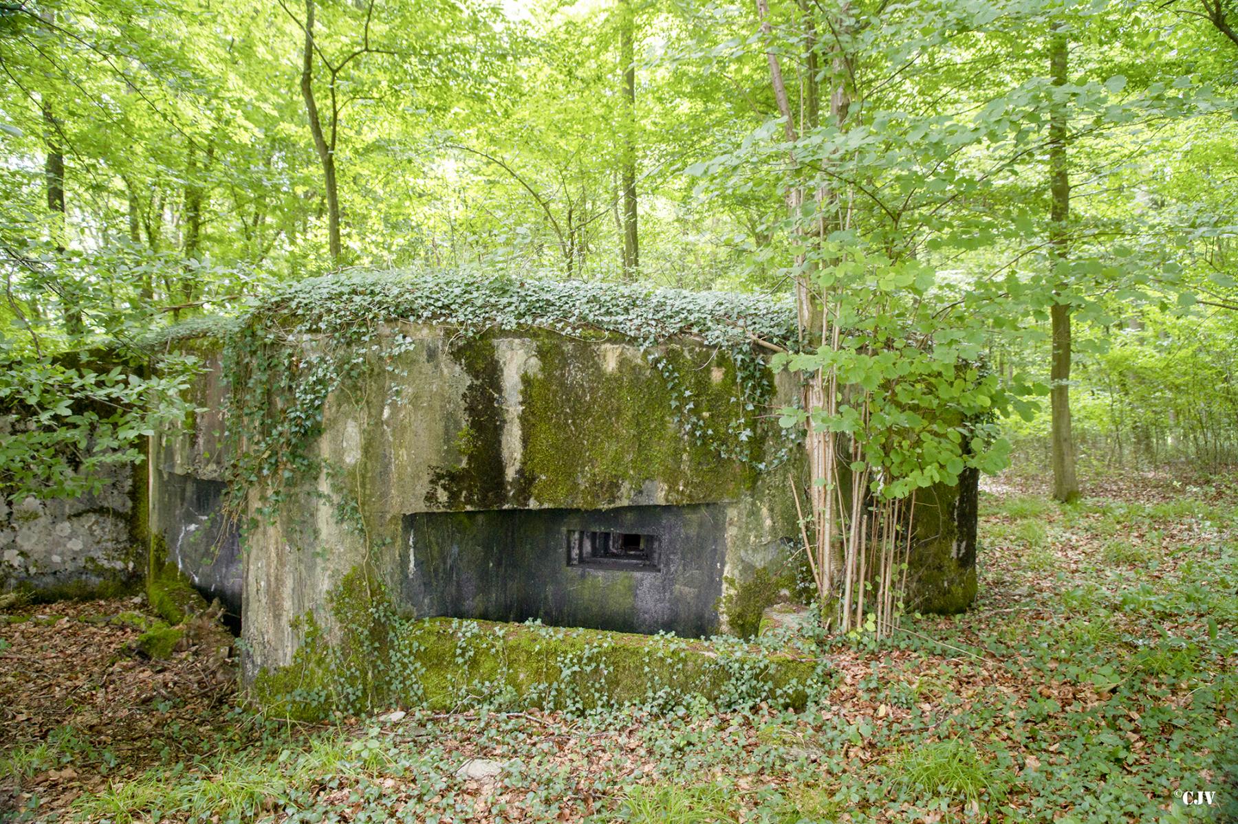 Ligne Maginot - MITTENWALD 3 - (Blockhaus pour arme infanterie) - 