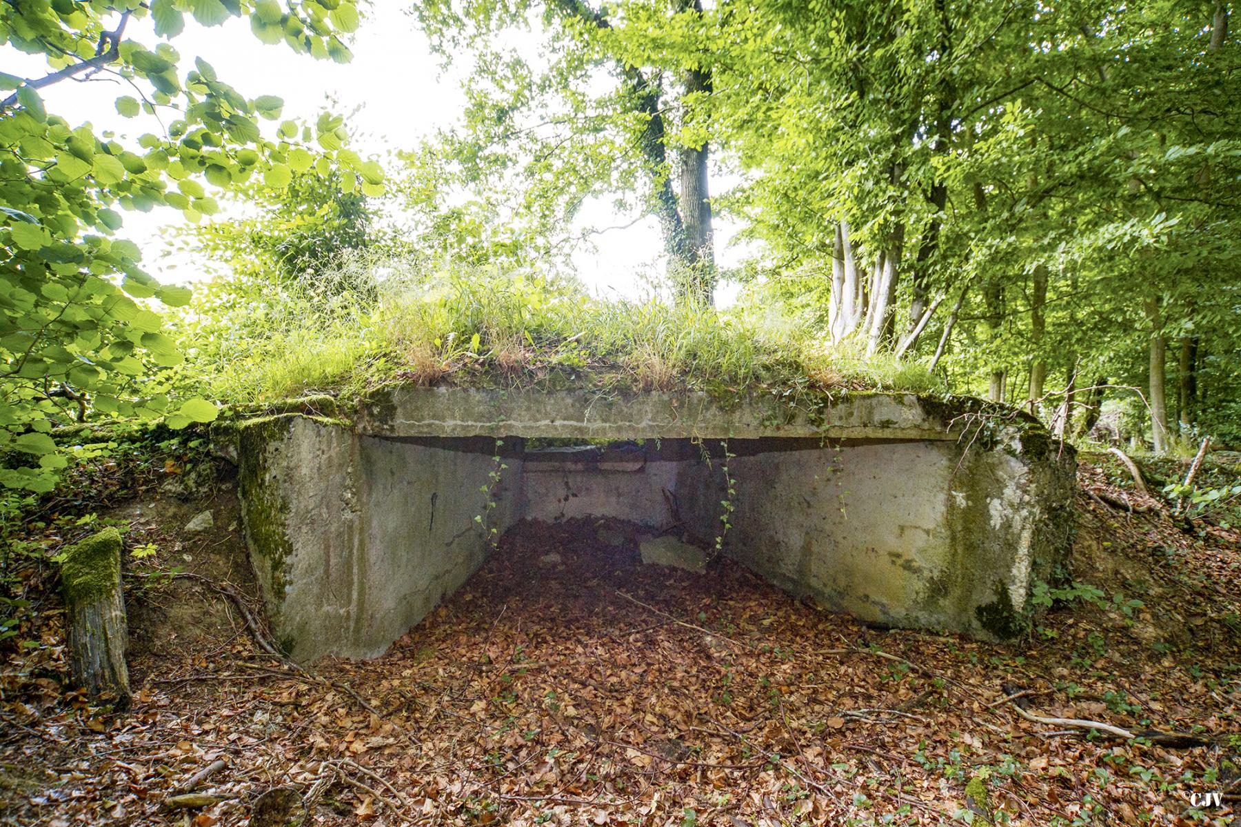 Ligne Maginot - MITTENWALD 2 - (Blockhaus pour canon) - 