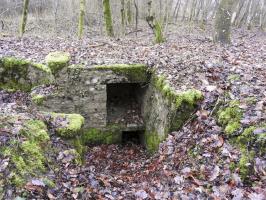 Ligne Maginot - GUNGLINGERWALD 2 - (Cuve pour arme d'infanterie) - La niche à munitions.