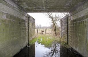 Ligne Maginot - HERBITZHEIM VOIE FERRéE SUD - (Inondation défensive) - Passage sous la voie ferrée