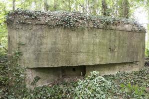 Ligne Maginot - HECKENWALD SUD - (Blockhaus pour arme infanterie) - 