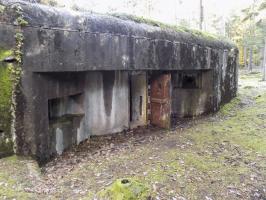 Ligne Maginot - BIESENBERG 1 - (Blockhaus pour arme infanterie) - Vue d'ensemble