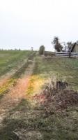 Ligne Maginot - GUERLETTE - (Casemate d