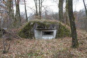 Ligne Maginot - SCHLOSSWALD 1 - (Blockhaus pour arme infanterie) - Façade de tir mitrailleuse