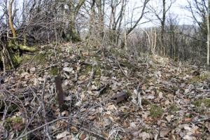 Ligne Maginot - SCHLOSSWALD 6 - (Observatoire d'infanterie) - Les restes de fils de fer barbelés