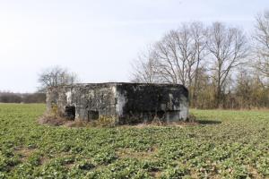 Ligne Maginot - GARE DE KALHAUSEN 2 - (Blockhaus pour arme infanterie) - Vue générale