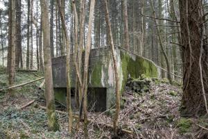 Ligne Maginot - GROSSWALD 3 - (Blockhaus pour arme infanterie) - 